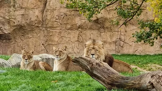 博瓦勒動物園