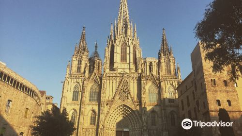 Museu de la Catedral