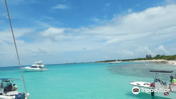 Catamaran Spread Eagle II