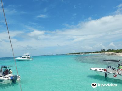 Catamaran Spread Eagle II