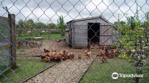 East Hull Community Farm