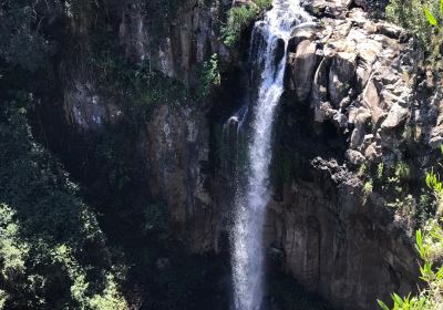 Daggs Falls Lookout