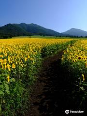 蒜山澤西樂園