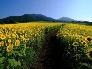 蒜山澤西樂園