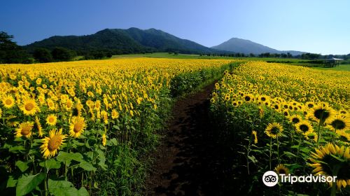 蒜山澤西樂園