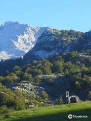 Birdwatch Asturias