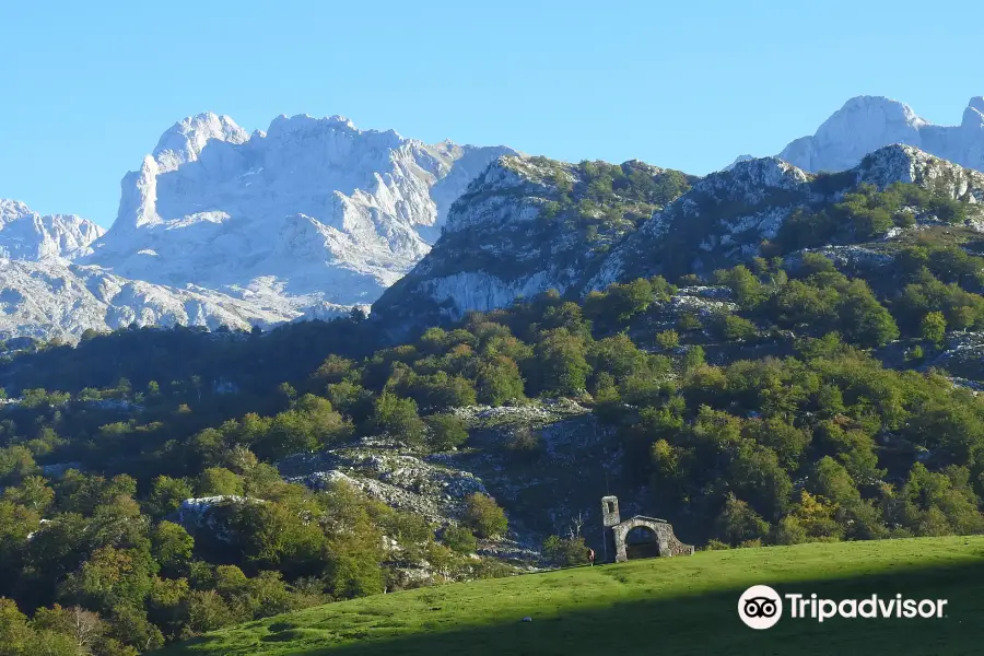 Birdwatch Asturias