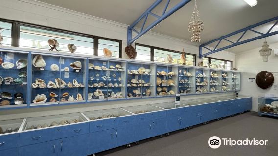 Shell World