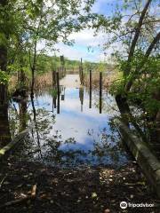 Wood Lake Nature Center