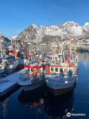 Henningsvær Port Viewpoint