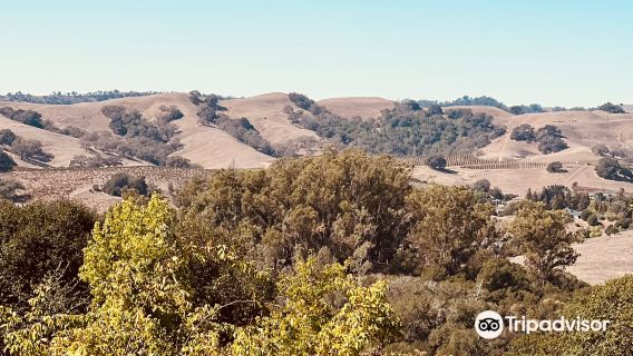 Westwood Hills Park