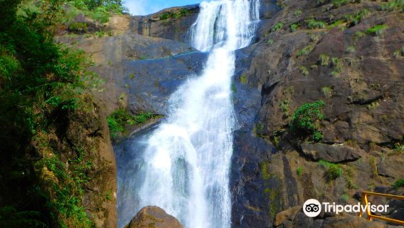 Palaruvi Falls