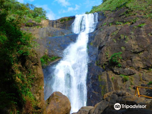Palaruvi Falls