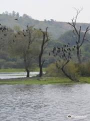 Pashan Lake