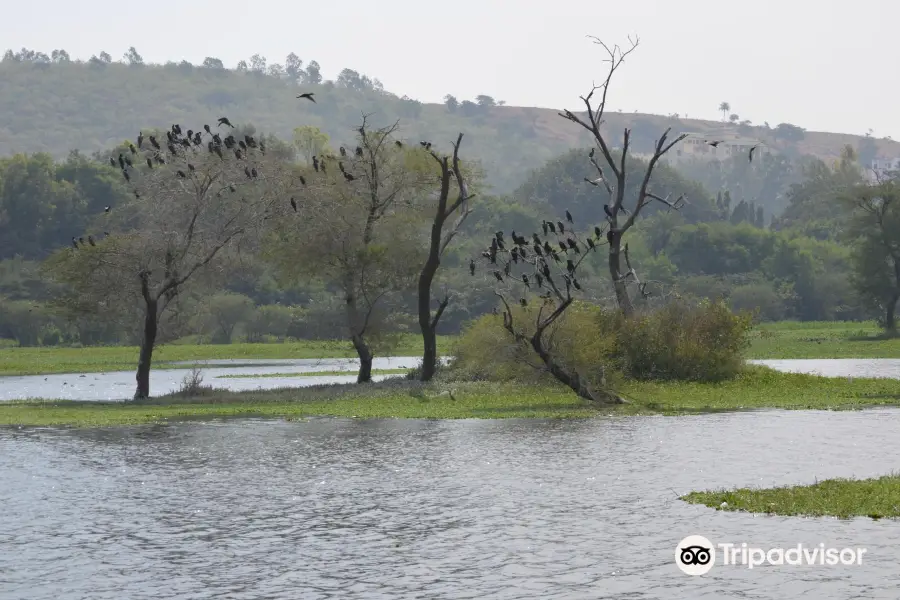 Pashan Lake