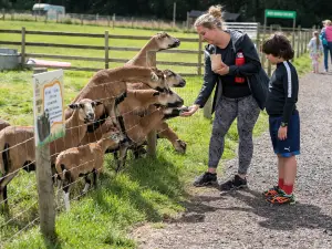 Bluebell Dairy Ice Cream Farm