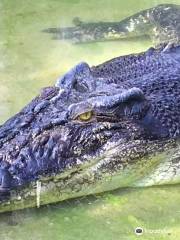 Sandakan Crocodile Farm