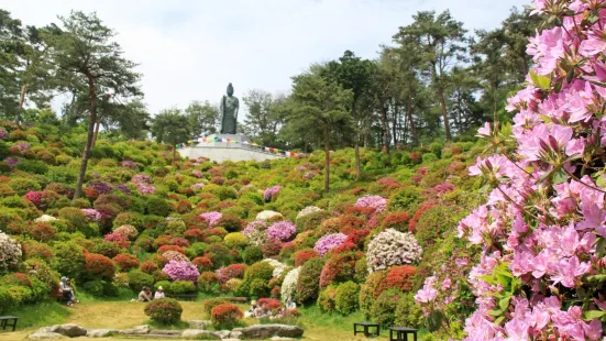 大悲山 塩船観音寺