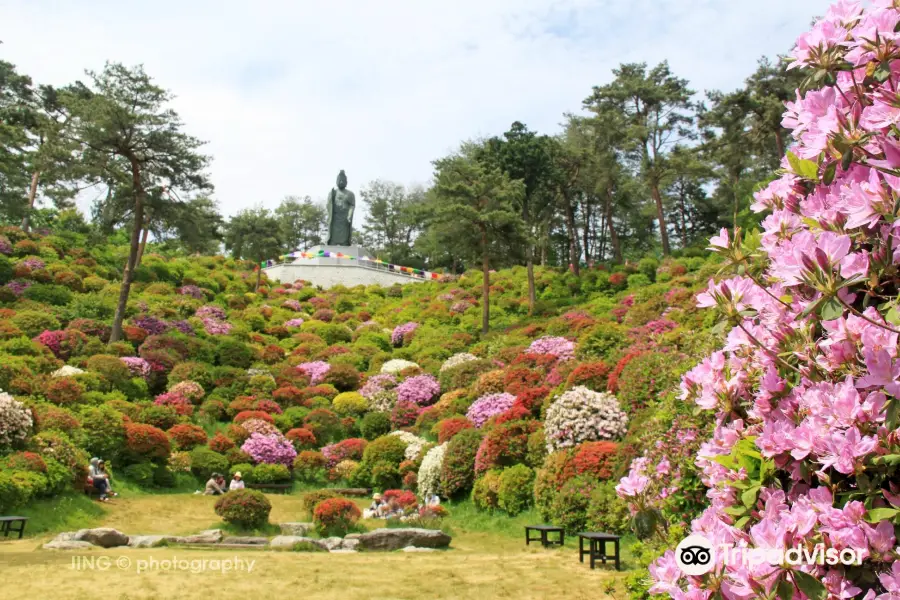 大悲山 塩船観音寺