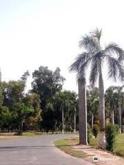 Gutwala Park Faisalabad