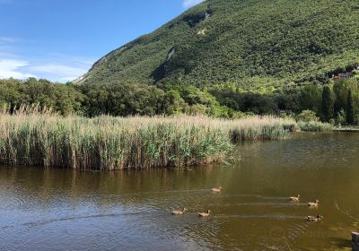 Laghetti di Portonovo