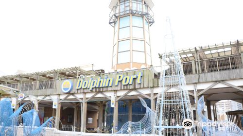 Dolphin Port