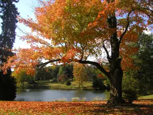 Duke Farms