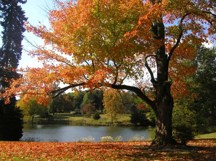Hôtels à : Hillsborough