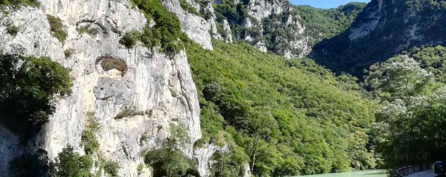 Furlo Pass