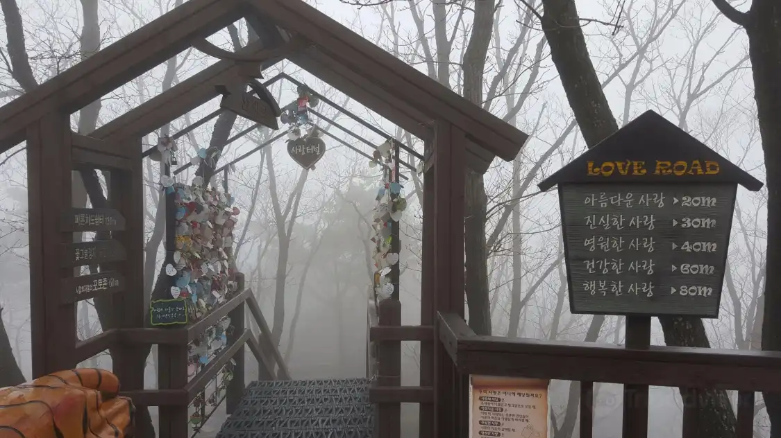신림봉 주변 호텔