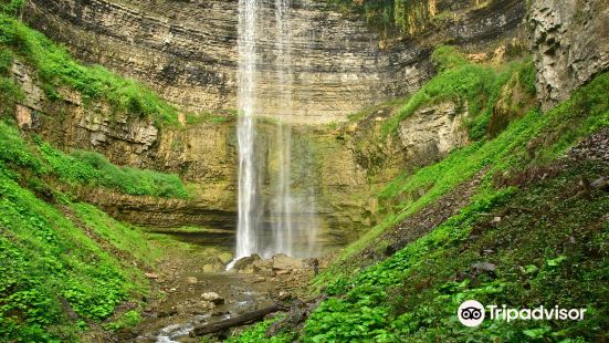 Waterfalls of Hamilton