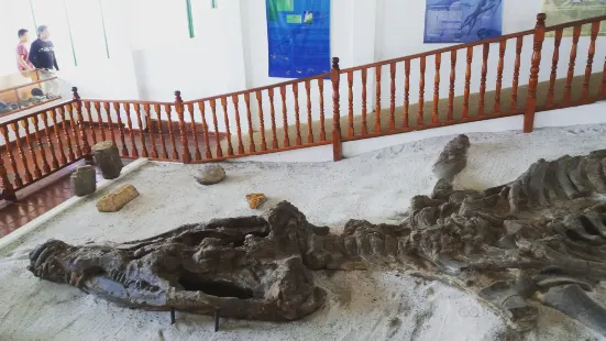 Museo El Fosil