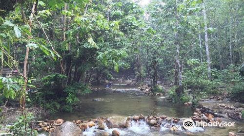 Sungai Tua Recreational Forest