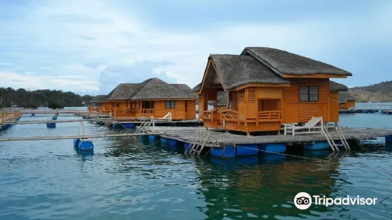Grace Island