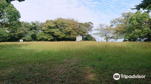 Hamada Castle Ruins