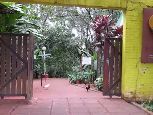 Jardin De Los Pajaros