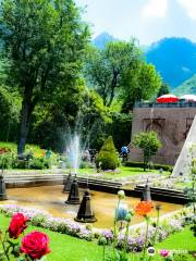 Chashma Shahi Garden چشمہ شاہی باغ