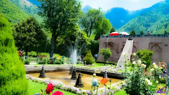 Chashme Shahi Gardens