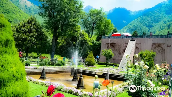 Chashme Shahi Garden