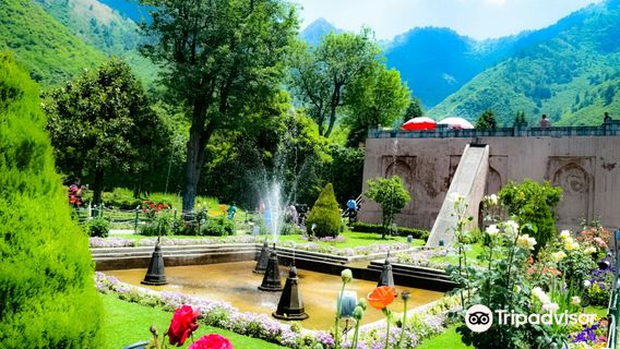 Chashma Shahi Garden چشمہ شاہی باغ