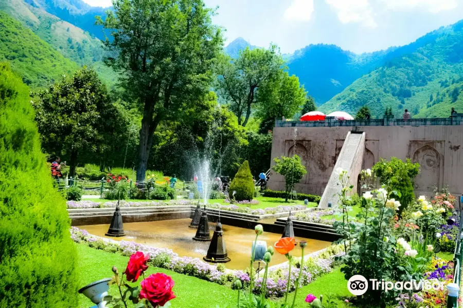 Chashma Shahi Garden چشمہ شاہی باغ