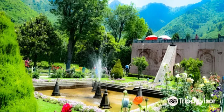 Chashme Shahi Garden