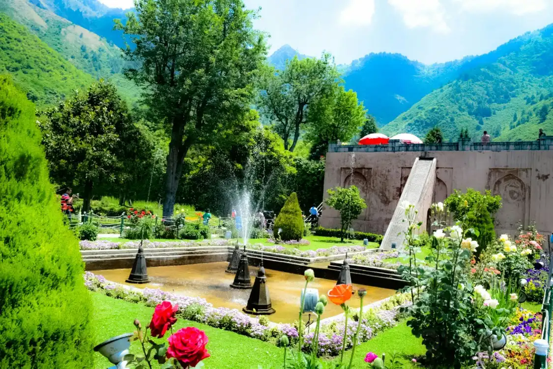 Hotels near Chashma Shahi Garden چشمہ شاہی باغ