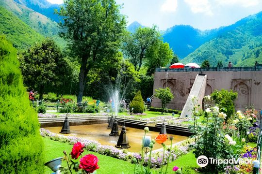 Chashme Shahi Garden