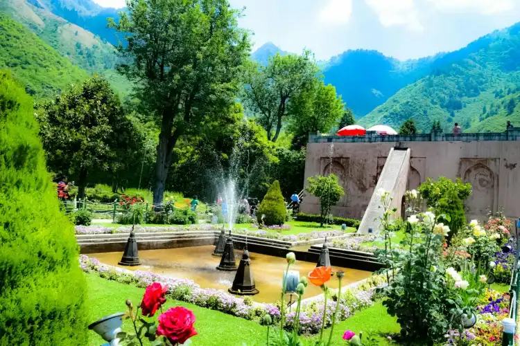 Hotels near Chashma Shahi Garden چشمہ شاہی باغ