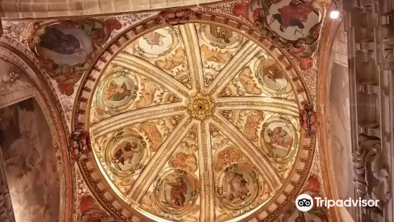 Visitas Guiadas El Verde Gaban