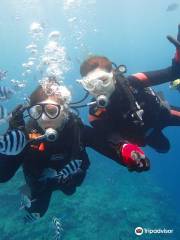 Okinawa Diving Center