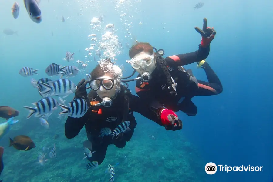 Okinawa Diving Center