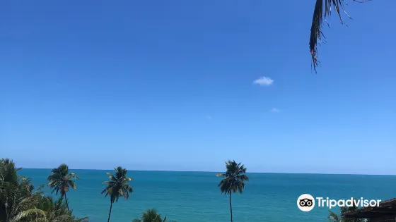 Carapibus Beach