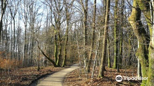 Loevbakke Naturcenter